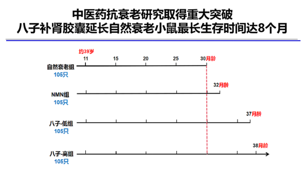 height=339