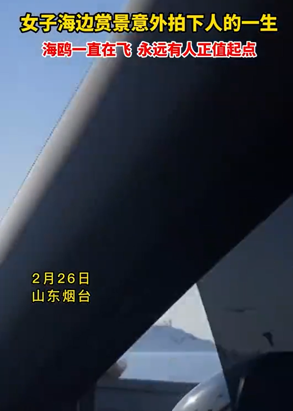 女孩意外拍下“生命缩影” 