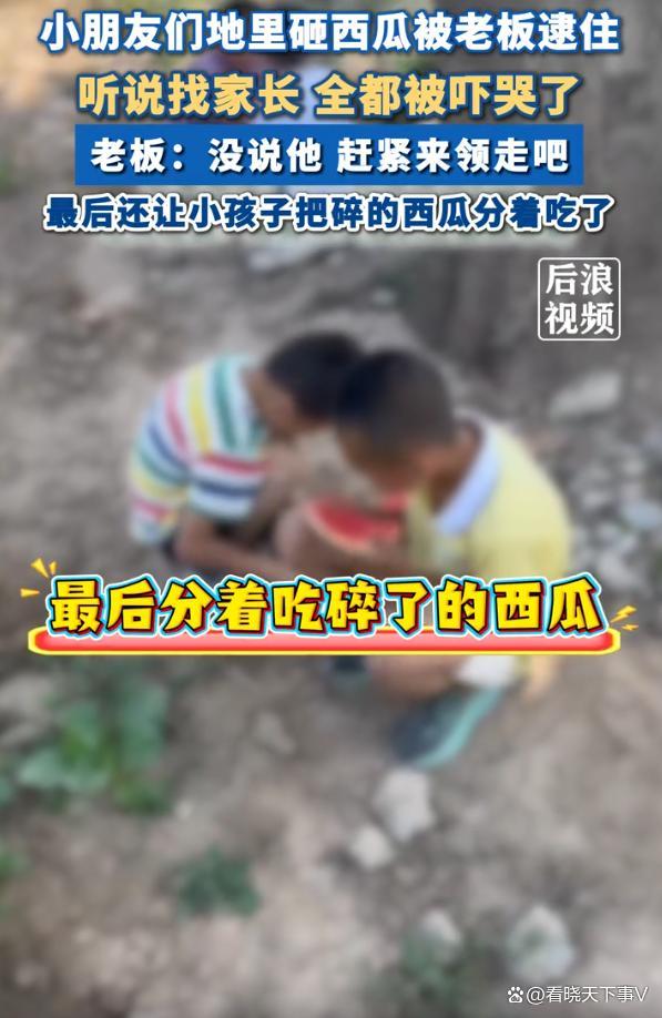 小朋友地里砸西瓜被老板逮住 一听找家长就被吓哭了