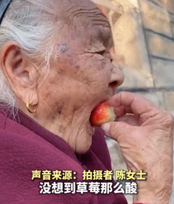 当97岁奶奶没戴假牙吃草莓 感觉太酸表情瞬间扭曲
