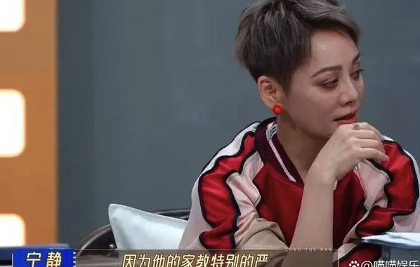 网友辣评向佐鼻孔用力式演技，吴镇宇冷笑回应宁静委婉点评