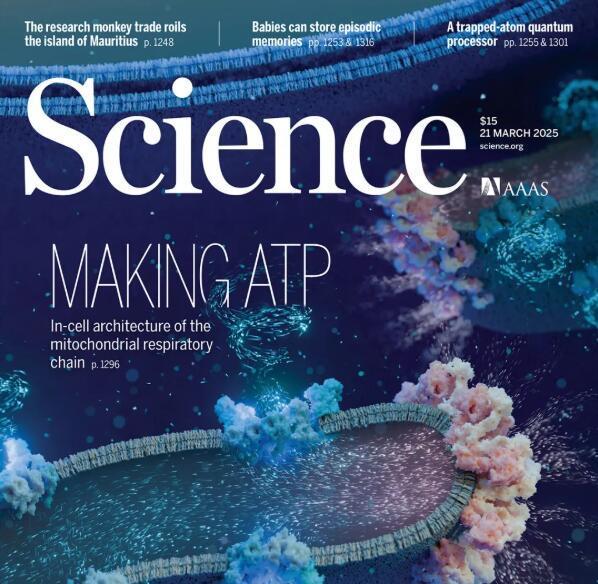 12岁男孩家中窒息抽搐,确诊罕见线粒体脑肌病