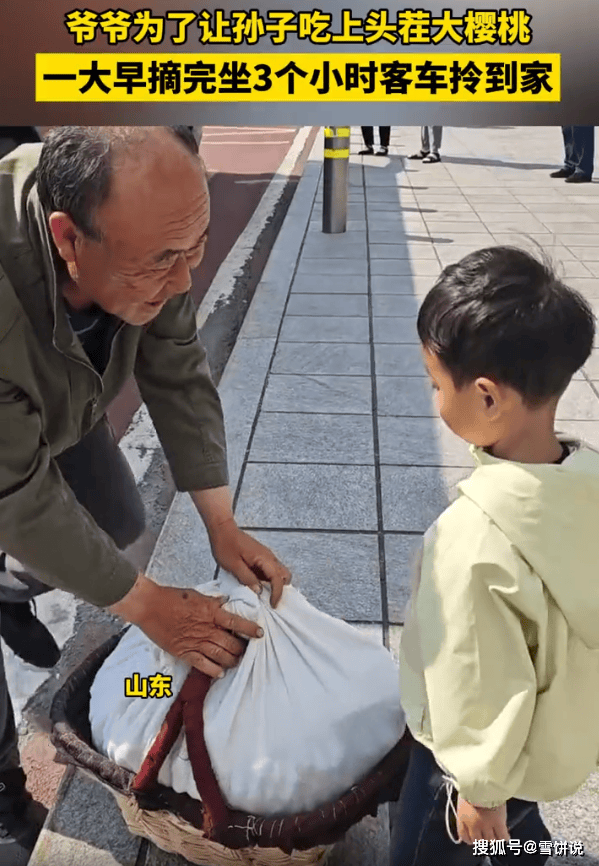 3小時顛簸一籃櫻桃的重量！爺爺坐3小時客車給孫子送大櫻桃