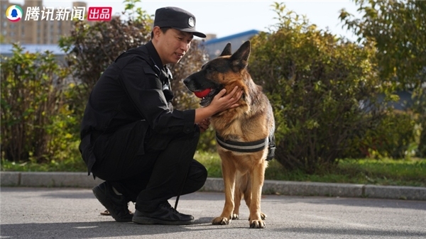 腾讯新闻出品警犬微纪录片《了不起的它》今日上线