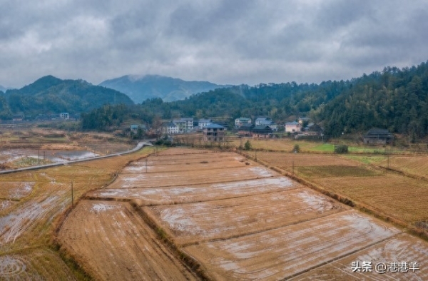 农村三年后，最值钱的不是土地，不是房子，而是这三样东西