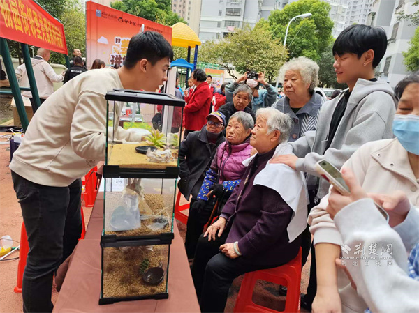 代表搭桥 社企联动 “姜艾”暖流润邻里