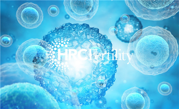 冻卵-HRC.jpg