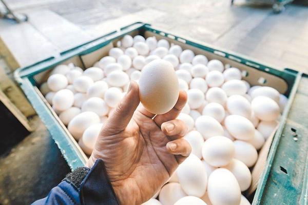 持续缺蛋！台农业部门拟四五月各进口3000万颗鸡蛋补足