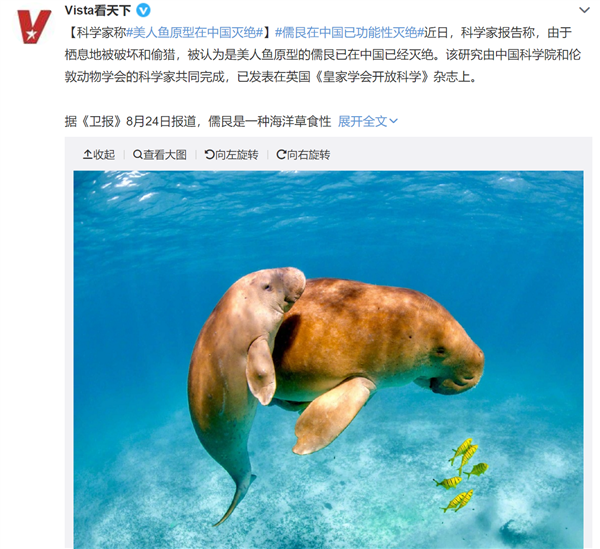 美人鱼原型在中国灭绝，外观与海牛类似