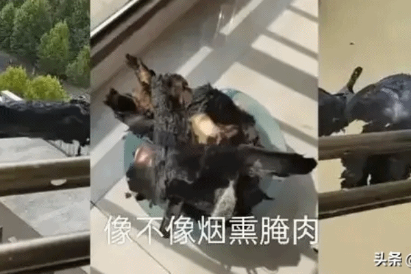 楼上扔烟头烧了楼下阳台晒的被子