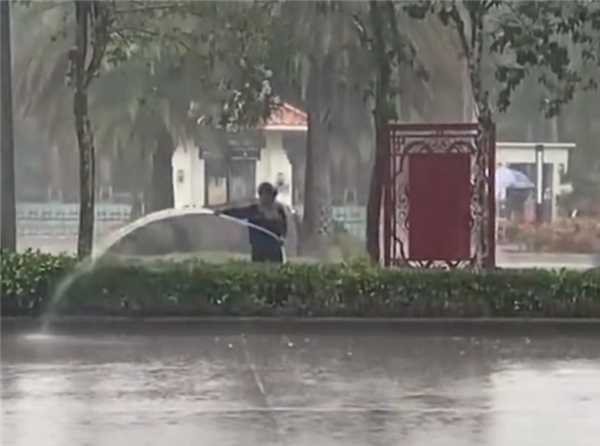 海南绿化工作人员雨天给大树浇水 环卫部门回应