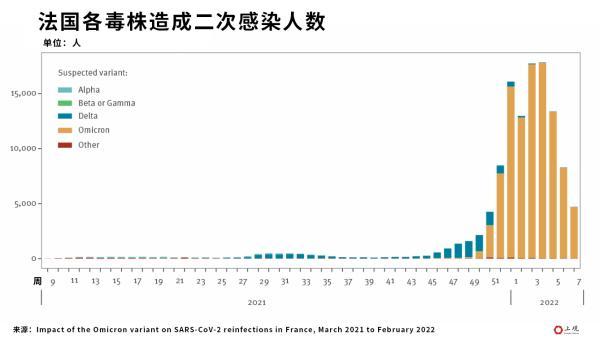 阳过二次感染比例究竟有多高?答案都在这里了！
