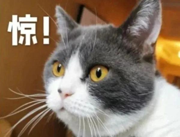警惕！福州7岁女童因脑血管畸形突发脑出血！这病致死率高！出现以下情况 请立即就医