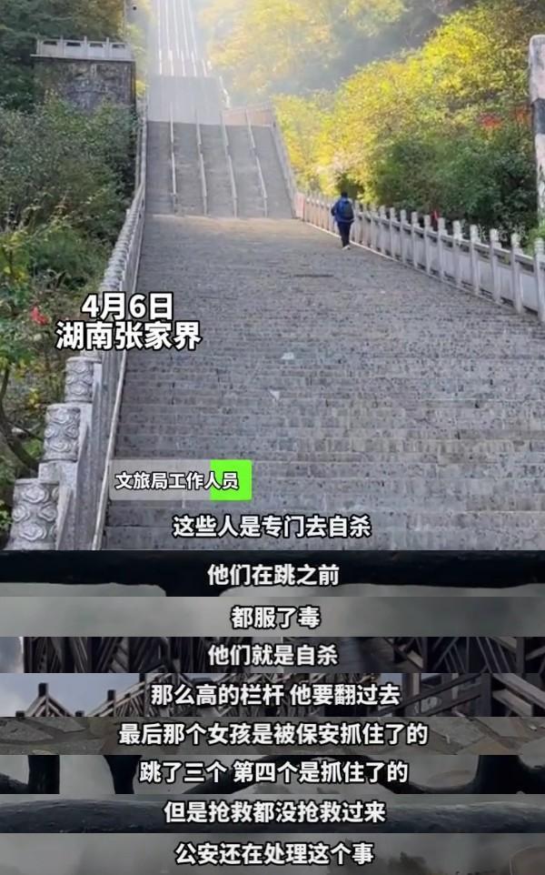 张家界通报多人景区跳崖：均系自杀 其中两个00后