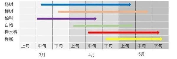 敏感人群注意！北京杨柳飞絮第二个高发期来临 六环内高发时间持续至5月3日！