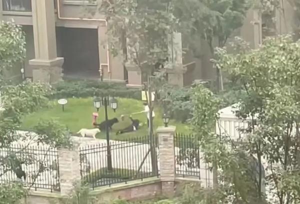 女童在小区内被烈犬撕咬受伤,如果孩子被狗追逐该怎么办?
