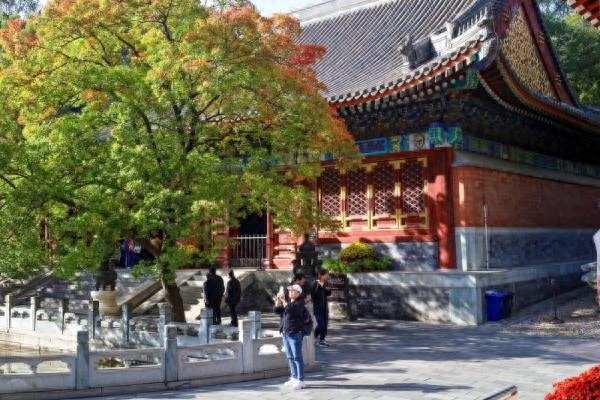 北京赏秋香山红叶进入最佳观赏期