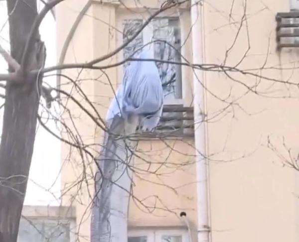 北京一居民花10万买高15米大恐龙摆院中，邻居被吓坏