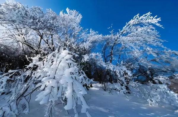 元宵夜，来杭小情侣滑向一高山峭壁……