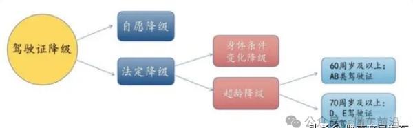 驾驶证年龄又迎来新调整，多少岁不能开车？老司机哭了：我咋挣钱