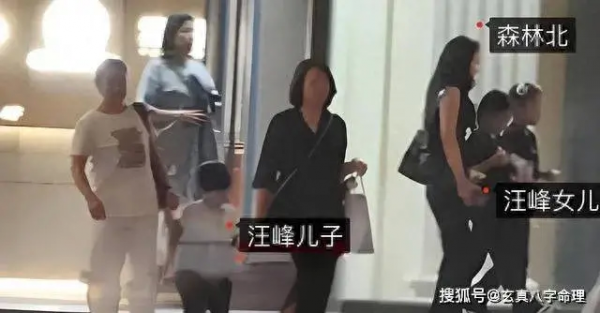 汪峰新女伴曝光：贵圈女强人们的前任，都选了怎样的另一半？揭秘网红森林北恋曲