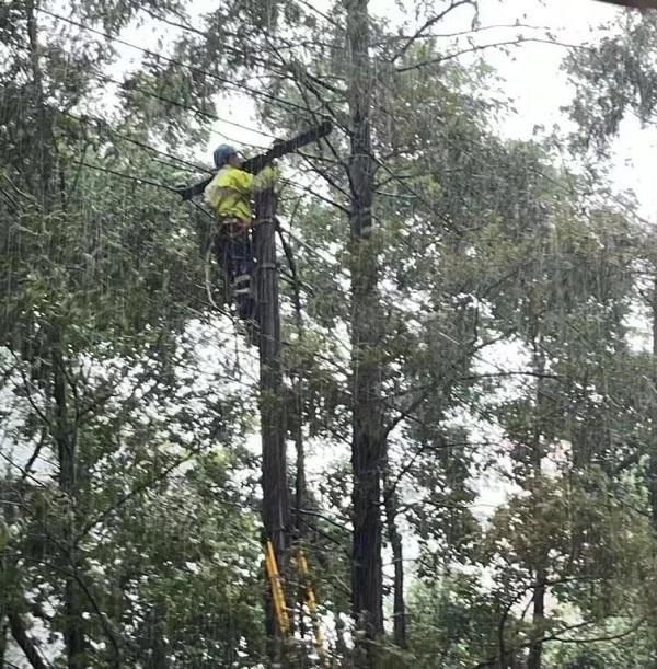 上海因台风停电区域全部恢复 电网经受考验，中秋用电无忧