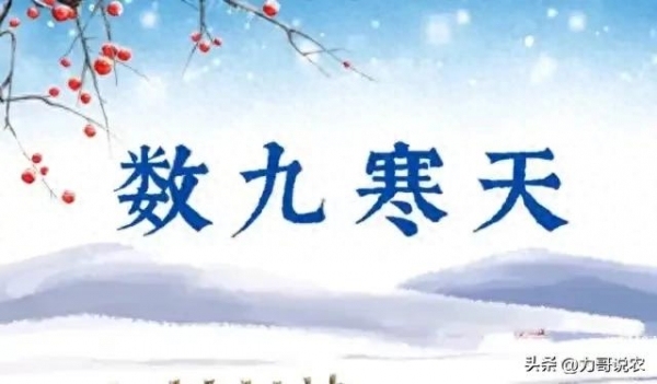 老話說“三九暖烘烘,，立春棉衣添” 啥意思？