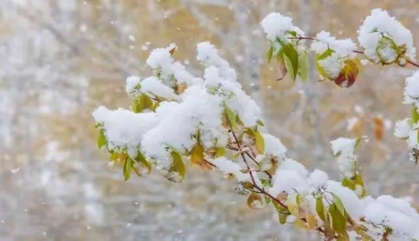 今日小年 老人常說(shuō)“最怕小年不見雪” 春節(jié)倒計(jì)時(shí)開啟