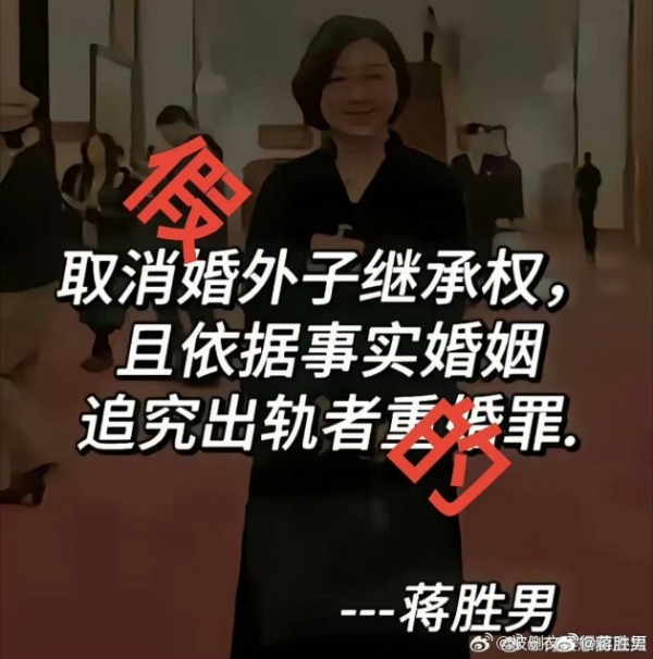 蔣勝男辟謠建議對(duì)未婚男性停發(fā)工資 澄清虛假言論