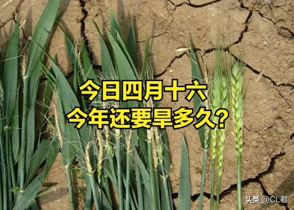 “閏六月雨水多不多，就看四月十六”