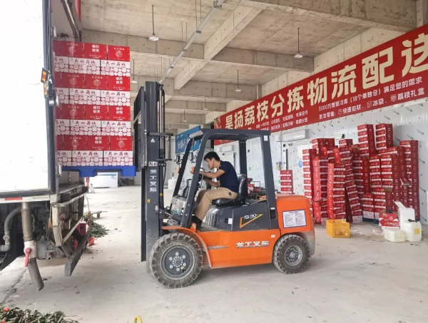 “廣西靈山荔枝堆積如山，只能賤賣”,？真相是