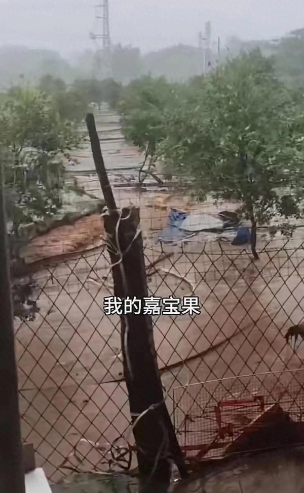 全红婵老家新房已开始浇筑 施工到明年才能入住