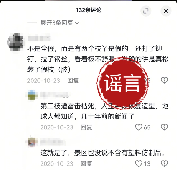 迎客松：有人說(shuō)我是“假松”？我真的累了