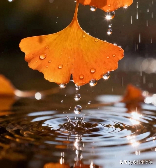 “雨水停不停,就看八月廿一”,农谚怎么说