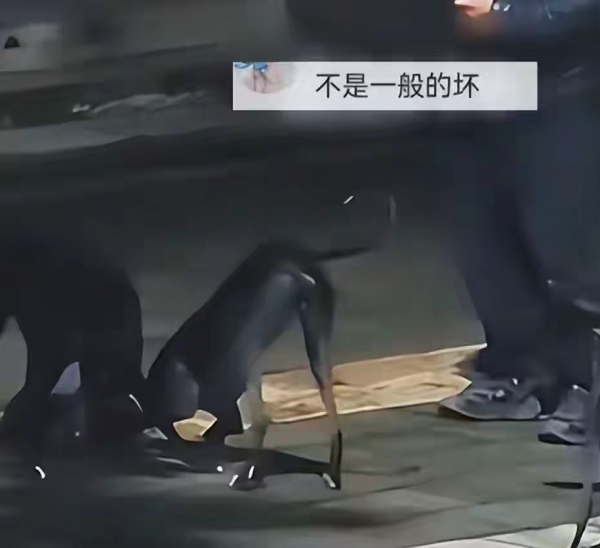 兩大型犬撕咬流浪狗 疑似犬主不制止