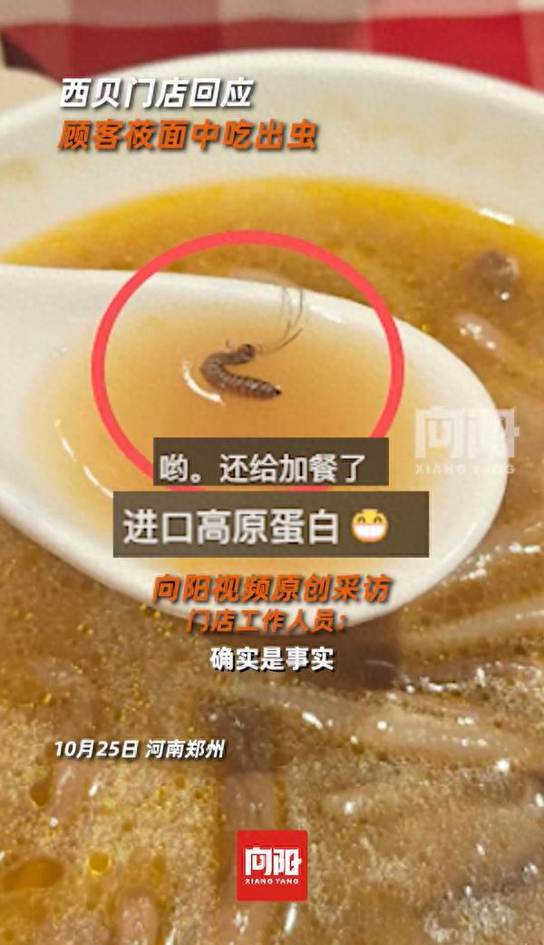 西贝修起宝妈带娃吃出虫：已整改
