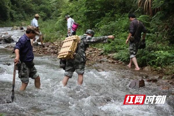 中医药成荒野求生“制胜法宝” 湖湘智慧闪耀赛场