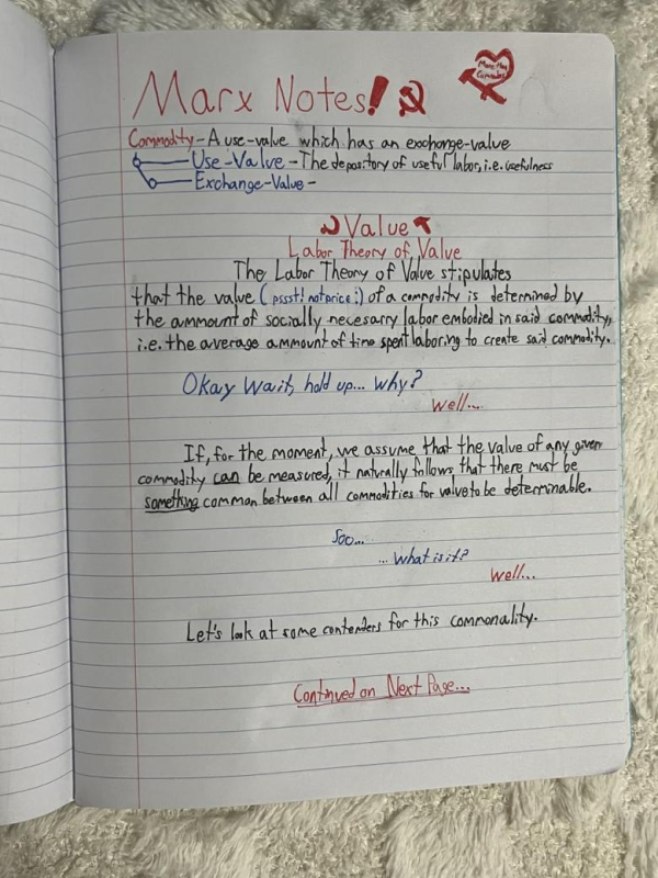 美国网红哈桑访华有何象征意义 左翼态度转变的缩影