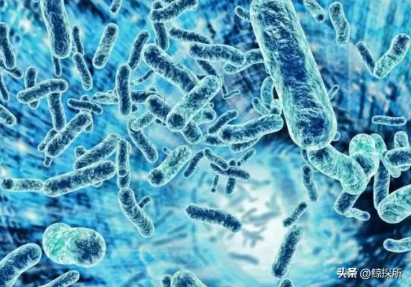 我國科學(xué)家重要發(fā)現(xiàn)或顛覆經(jīng)典理論！海洋里竟然藏著一個(gè)瞞了全人類近百年的