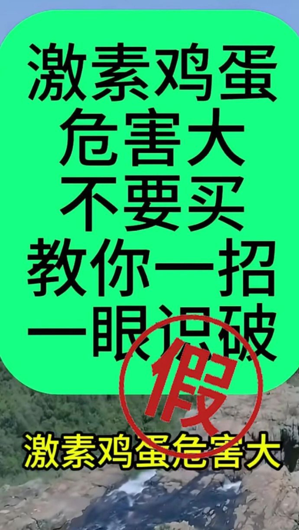 激素蛋大量流入市场系谣言