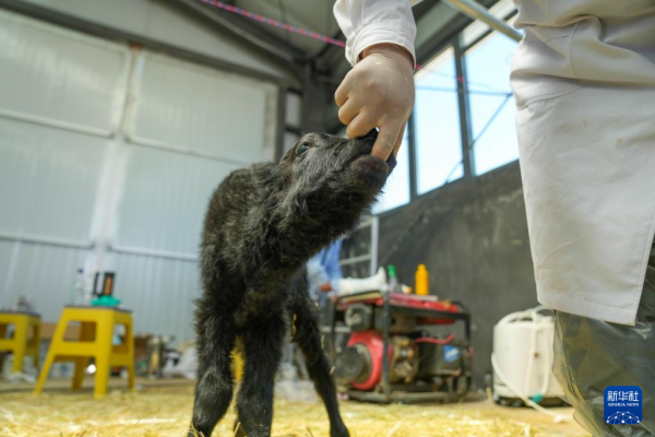 闪耀世界的中国科技之光 创新引领未来