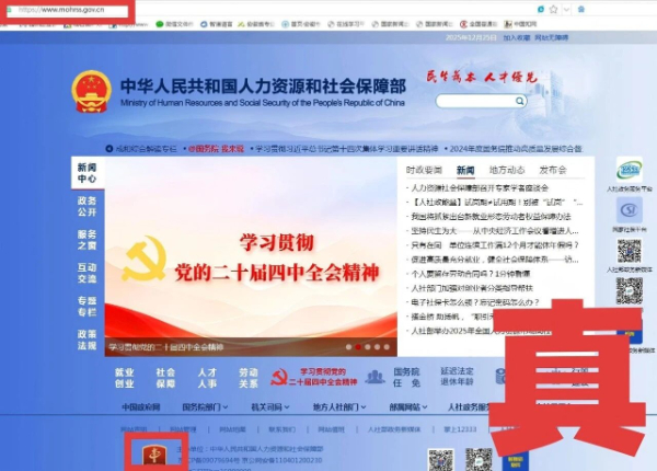 中央網(wǎng)信辦依法處置1418個仿冒假冒網(wǎng)站平臺