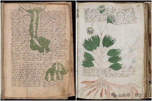 AI仅用1小时破译500年未解的“天书” 古籍之谜终得解