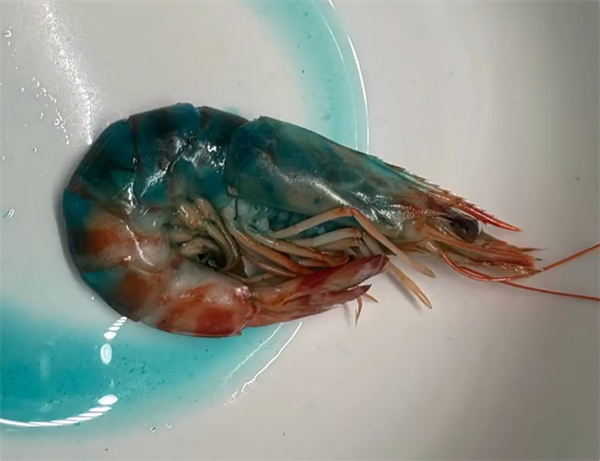 虾煮熟“蓝得吓人”？盒马：可正常食用
