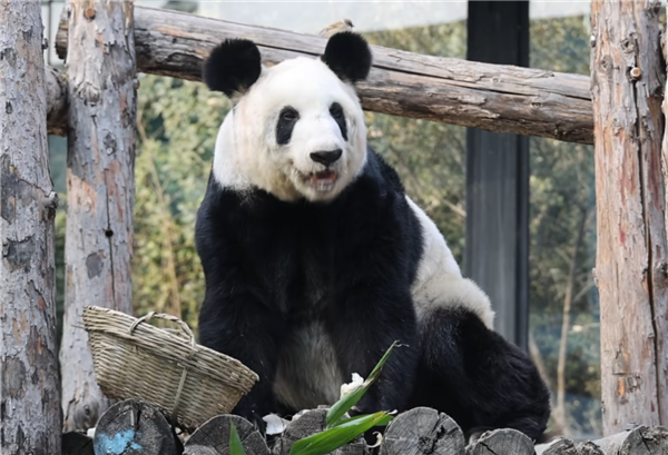 ��èѾѾ�ع����������Ҹ��� ��������95����