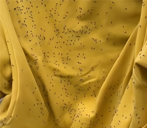 提醒!最近少穿这三种衣服出门