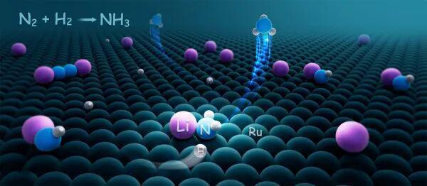 孕期接触杀菌剂影响持续20代 跨代遗传危机