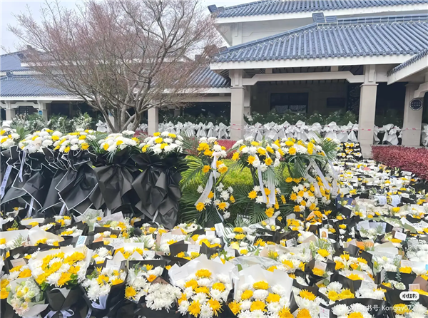 网友凌晨排长队送张雪峰最后一程