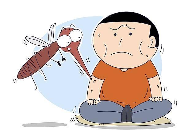 专家:南京暂未监测到“花蚊子”