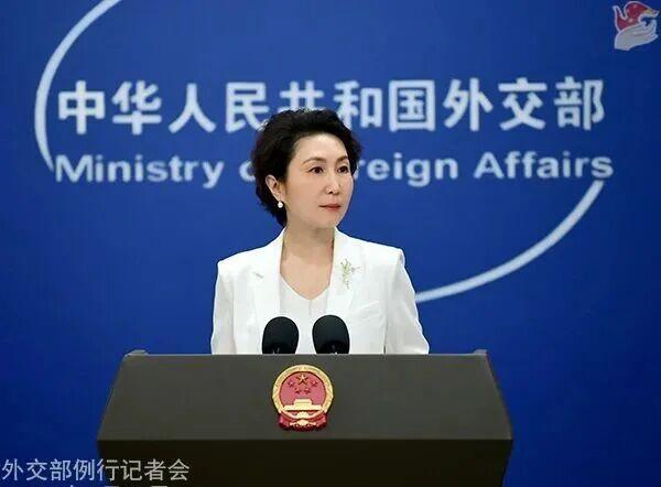 外交部：德方应客观理性看待中方立场